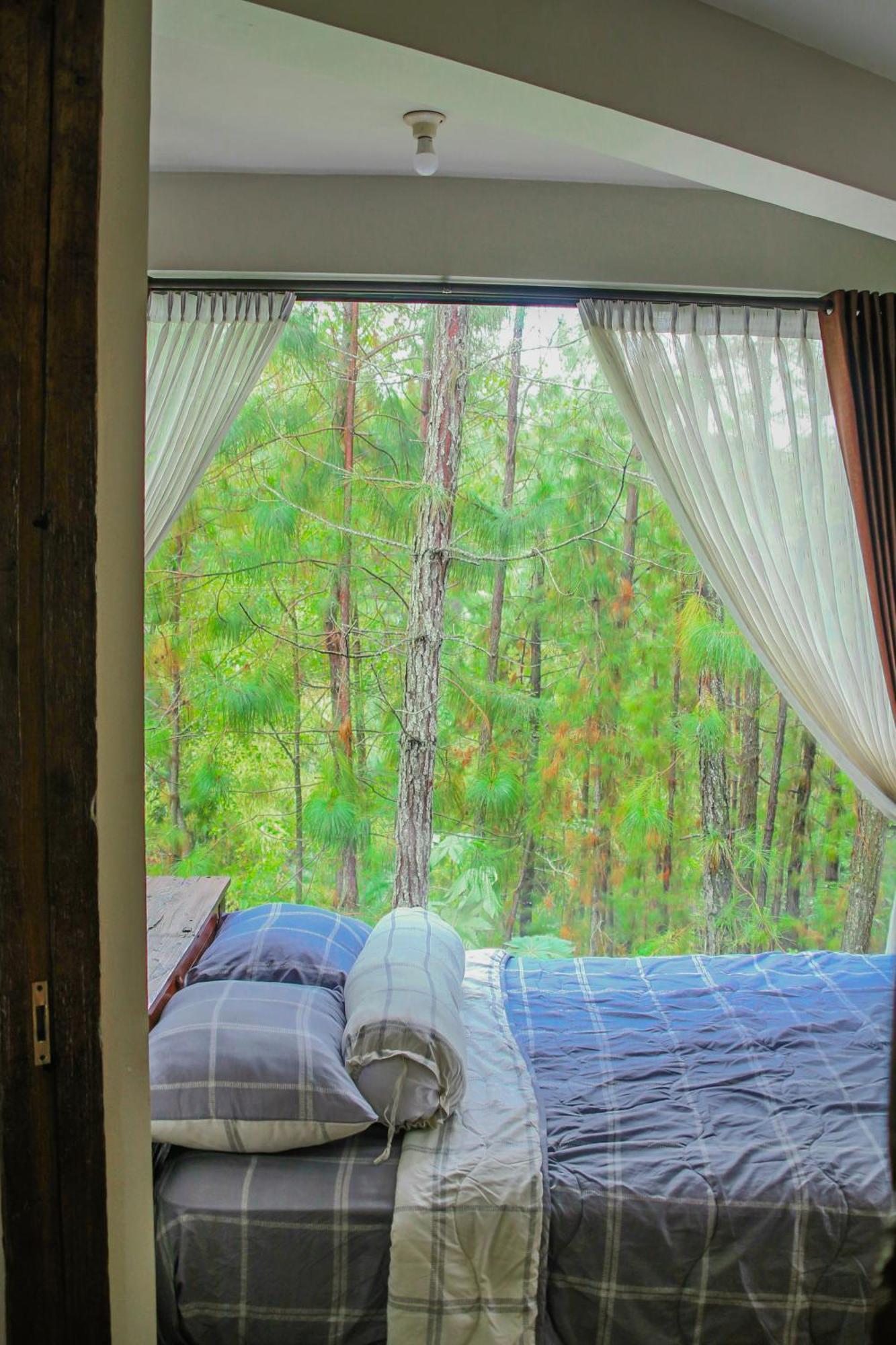 Omah Kayu Bromo Villa Ngadisari Buitenkant foto